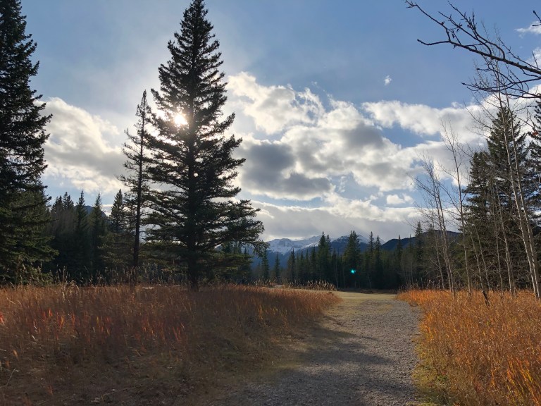 8AFD7D52-BF0C-4B3B-AE9B-091C0549F49B